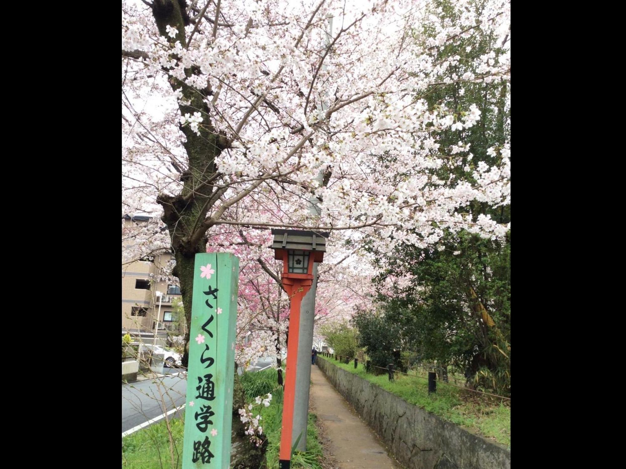 Kyounoyado Hana Nishijin - Kimono No Yado Kiotó Kültér fotó